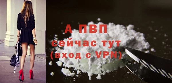 стаф Михайлов