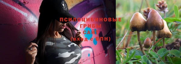 прущие крисы Надым