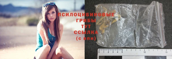 прущие крисы Надым