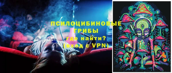 ешки Балахна